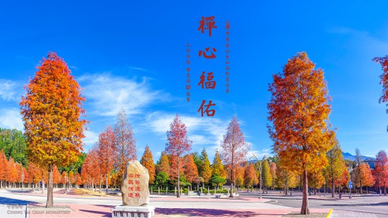 中台禅寺新春桌布